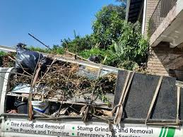 Best Dumpster Rental Services  in Smith Valley, NV